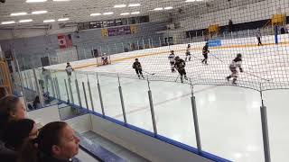 Tournament Game vs Oshawa Lady Generals Period 3 [upl. by Ecydnarb]