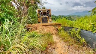 Awesome Bulldozer Operator Works Very Superior Smoothing Plantation Roads [upl. by Ecirtaemed918]