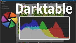 Darktable  Histogramme [upl. by Yeniffit]