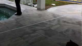 Call today 727 678 4500 HOW TO LAY TRAVERTINE PAVERS AROUND THE POOL DECK [upl. by Anaeg451]