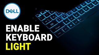 How to Enable Keyboard Light on Dell Laptop Windows 10 [upl. by Bywaters]