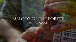 Melody of the Forest by Ahkatuna • sanfte Flötenmusik mit Naturgeräuschen flute nature relax [upl. by Lraep]