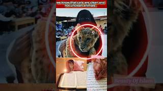 Cats in islam  cats are pure animal islmicshorts catlove islam allah [upl. by Barabbas]