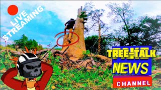 Tree Talk episode 18 ‼EASY‼ DIY RETRIEVABLE FRICTION SAVER [upl. by Aivle456]