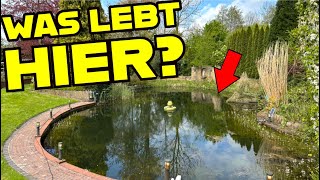 ANGELN AM VERLASSENEN GARTENTEICH 😱😅 KRASSER FANG [upl. by Rooke357]