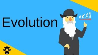 EvolutionThe three major components explained [upl. by Lynna]