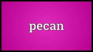 Pecan Meaning [upl. by Crabb261]