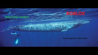 Swimming with a blue whale Holocene mobile  ROBLOX [upl. by Novar938]