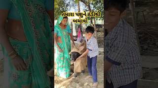 તમારા પશુને ઠંડીથી બચાવો song music tamil [upl. by Pettit32]