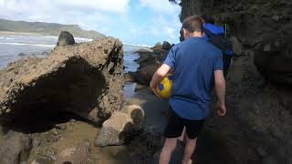 Exploring the stunning beauty of Bethells Beach part 5 🌊✨ BethellsBeach NZAdventures BeachVibes [upl. by Beeck]