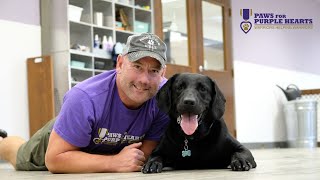 Paws for Purple Hearts  Service Dogs for our Warriors [upl. by Othilia]