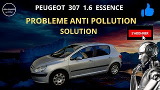 PEUGEOT 307 PROBLEME ANTI POLLUTION SOLUTION [upl. by Beckman]