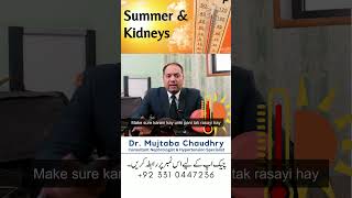 Impact of Summer on Kidneys  Kidneys or Garrmiyan  summershorts kidney [upl. by Studnia780]