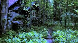 Synchronous Fireflies Elkmont Tennessee [upl. by Avenej385]