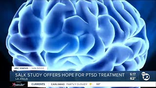 InDepth Salk Institute study gives hope for future PTSD treatment [upl. by Edveh]