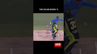 Dhoni life stumping quick response youtubeshorts reaction respect icct20worldcup dhoni [upl. by Adalard]