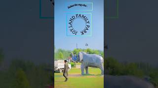 Joy Land Family Park chakdara Swat viralvideo nature swattravelguide viralvideo viralshorts [upl. by Anelad47]