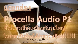 Procella Audio P1 [upl. by Swinton179]