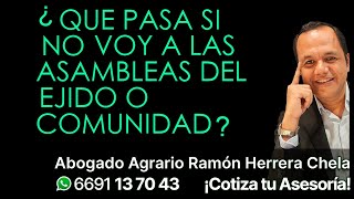 ¿Qué pasa si NO voy a las asambleas del ejido o comunidad [upl. by Ainitsirc]