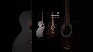 guitar fingerstyle fingerstyle aqualibguitars indianluthiers guitarist [upl. by Allene160]