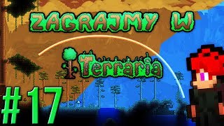 Zagrajmy w Terraria 17  Mechaniczna dżdżownica 12 [upl. by Dib]