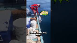 Mancing ikan laut marlinfishing [upl. by Mariand53]