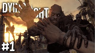 DYING LIGHT All Cutscenes Full Game Movie 1080p HD [upl. by Goodson]