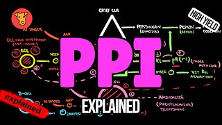 PROTON PUMP INHIBITORS Mechanism of action Side effects Explained [upl. by Hendrik]