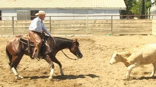 Cutting Horse  Ranch Sorting  Trail Riding Horse For Sale [upl. by Assyle99]