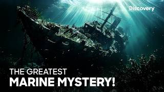 A Mysterious Light In The Bermuda  Curse of the Bermuda Triangle  Discovery Channel [upl. by Oilime]