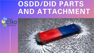 Can each part in OSDDDID systems have a different attachment style [upl. by Carbrey]