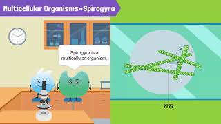 Cells Unicellular Organisms and Multicellular Organisms [upl. by Hsinam46]