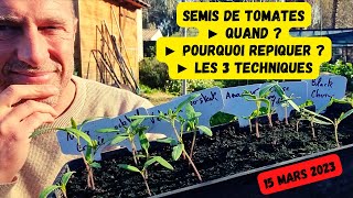 Cest LE moment de semer nos tomates potager mars 2023 [upl. by Lemhar]