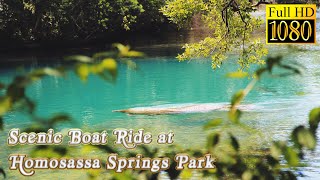 Scenic River Boat Tour at Homosassa Springs Wildlife State Park POV Video  Full Experience [upl. by Naujit162]