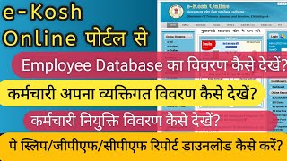 EKosh Online Employee Database Details Kaise Dekhencg ekosh पोर्टल पर व्यक्तिगत जानकारी कैसे देखें [upl. by Anyr]