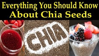 Everything You Should Know About Chia Seeds  Dr Alan Mandell DC [upl. by Saturday]