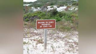 Henderson Beach State Park Hiking Trail Destin Florida [upl. by Ialokin]