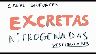 EXCRETAS NITROGENADAS [upl. by Omixam]