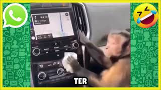 ▶️VOU TRABALHAR DE UBER [upl. by Farwell]