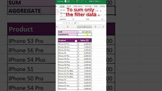 Sum with Filter Accurate totals even with filtered data in Excel [upl. by Cissie]