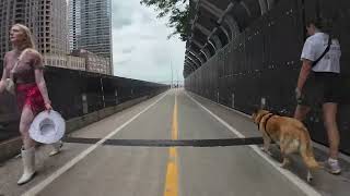 2024 August 1 Cycling on Chicago Lakefront Trail [upl. by Nakada]