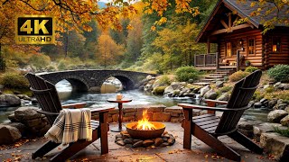 Peaceful Morning Autumn Forest Cozy Fire Pit and Relaxing Nature Sounds for Relax and Study [upl. by Irmine]