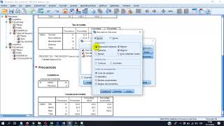 analisis de datos descriptivos spss [upl. by Ominorej]