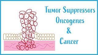 Tumor suppressors Oncogenes and Cancer Biology USMLE Essentials [upl. by Nealah433]