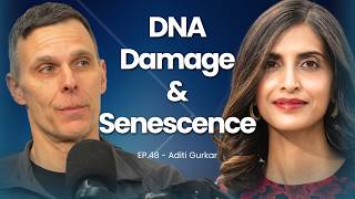 DNA Damage Senescence amp Apoptosis  48  Aditi Gurkar [upl. by Meehan]