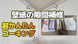 【DIY】壁紙の隙間 コーキング補修 ジョイントコークAとMの使い方【誰でも簡単にできる】 [upl. by Breskin595]