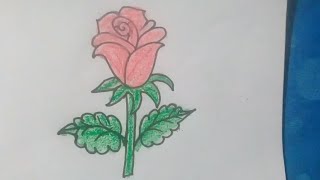 How to draw a rose flower drawingforkids [upl. by Otis]