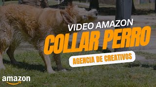 Video de producto profesionales para tu ecommerce ⏯️ AMAZON FBA amp FBM  Collar antipulgas perro [upl. by Olumor486]