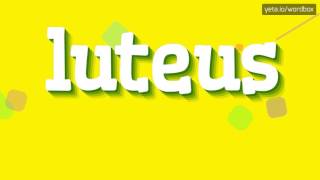 LUTEUS  HOW TO PRONOUNCE IT [upl. by Hoseia]