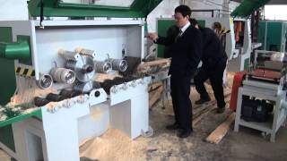 RUIMA Multirip Saw Machine and Plank Multirip Saw Machine during Lunjiao Foshan woodworling fair [upl. by Hesketh294]